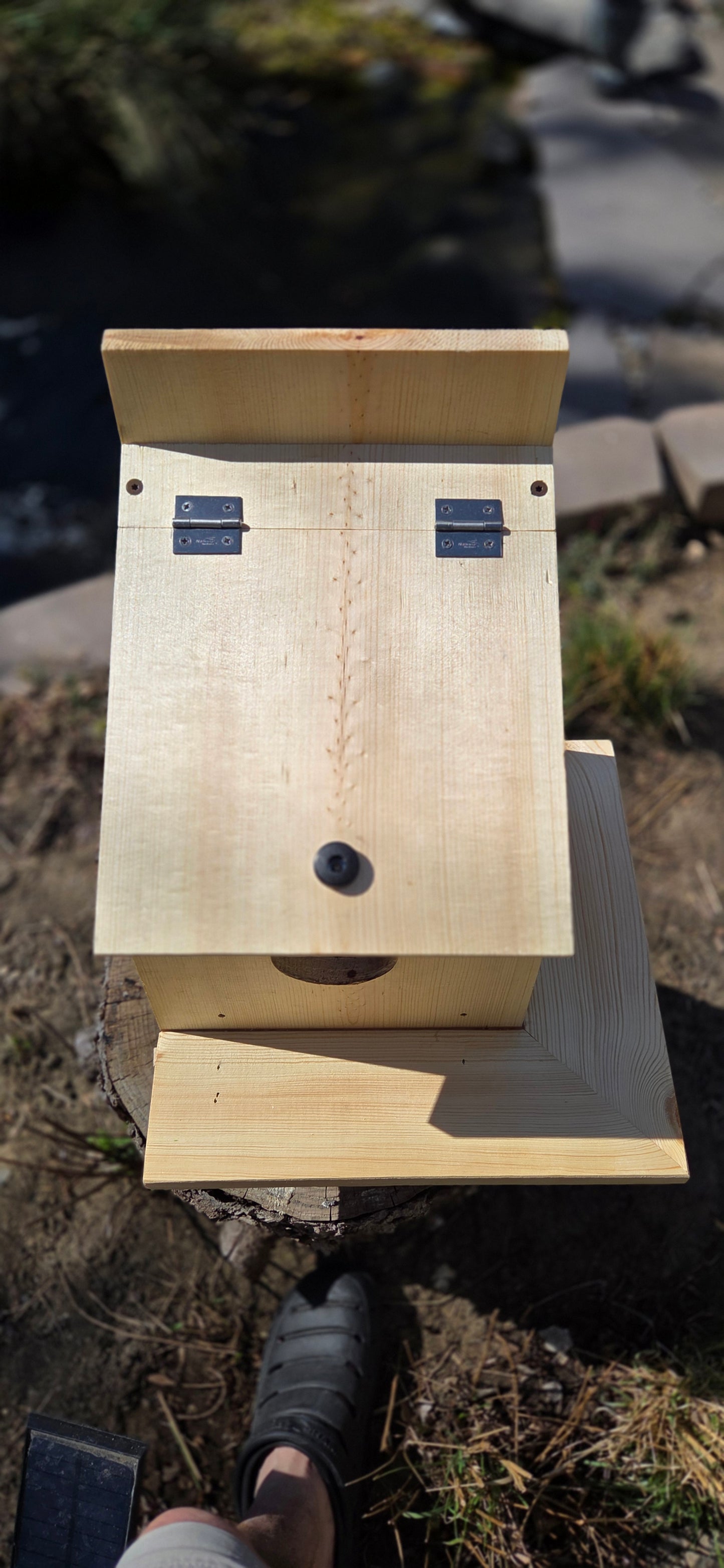 Topper Popper Squirrel House