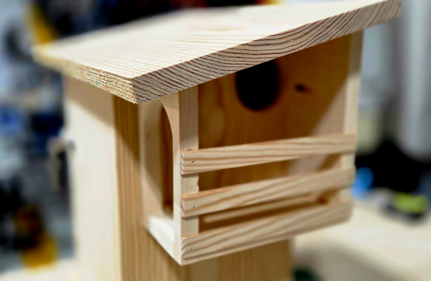 The "Lodge" squirrel house